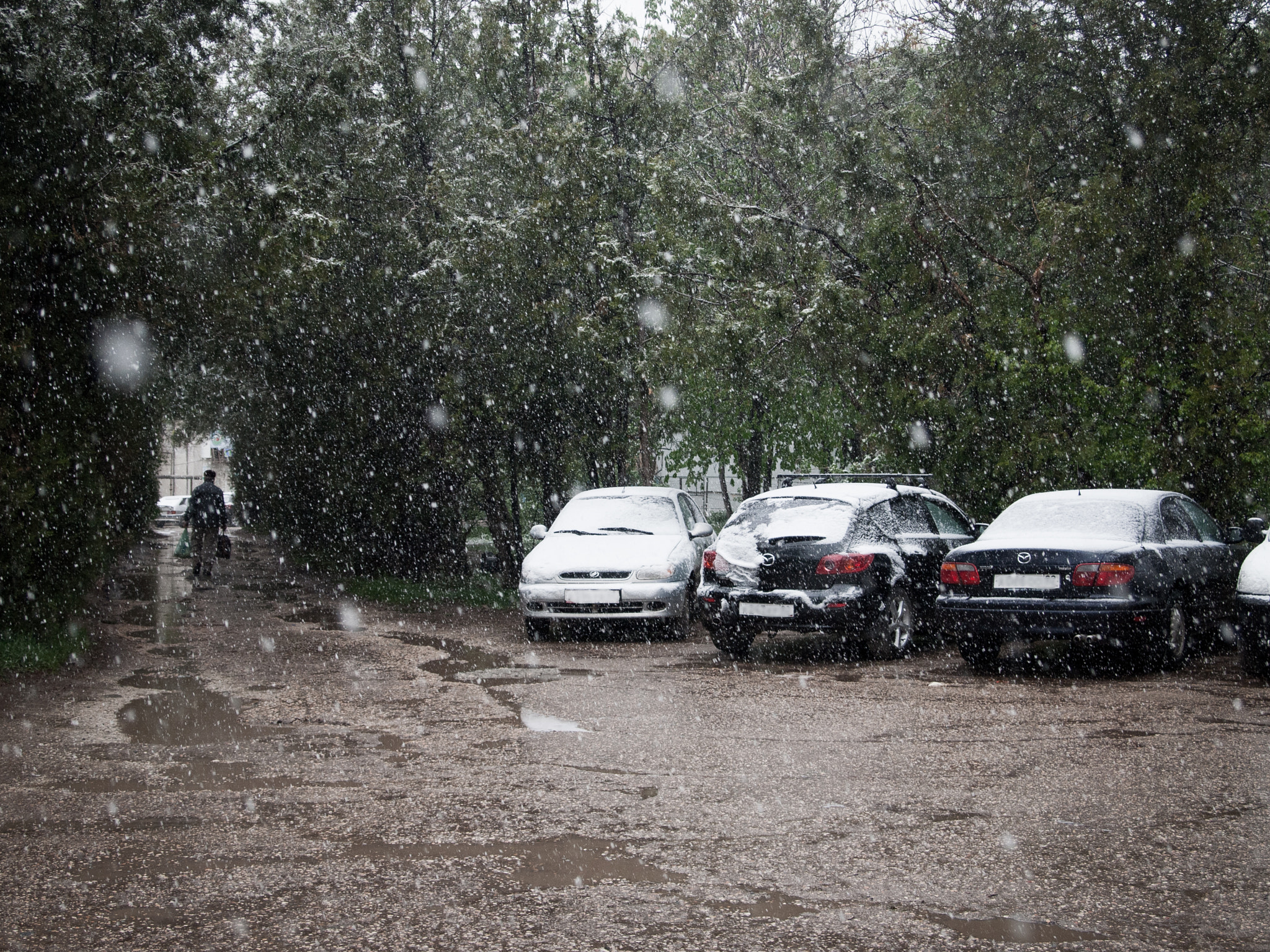 Olympus PEN E-P1 sample photo. Spring snow photography