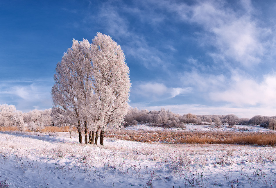 Winter etude by Dmytro Balkhovitin on 500px.com