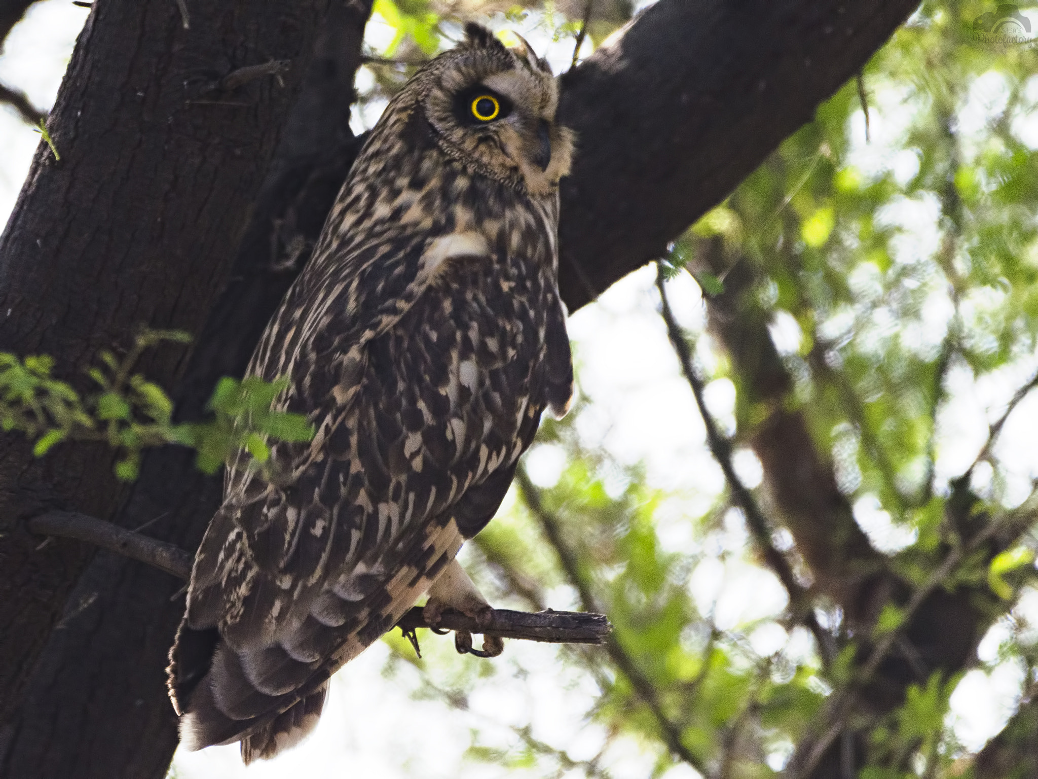 v2?sig=ab79e890e073358f26fc9859a59273bdc