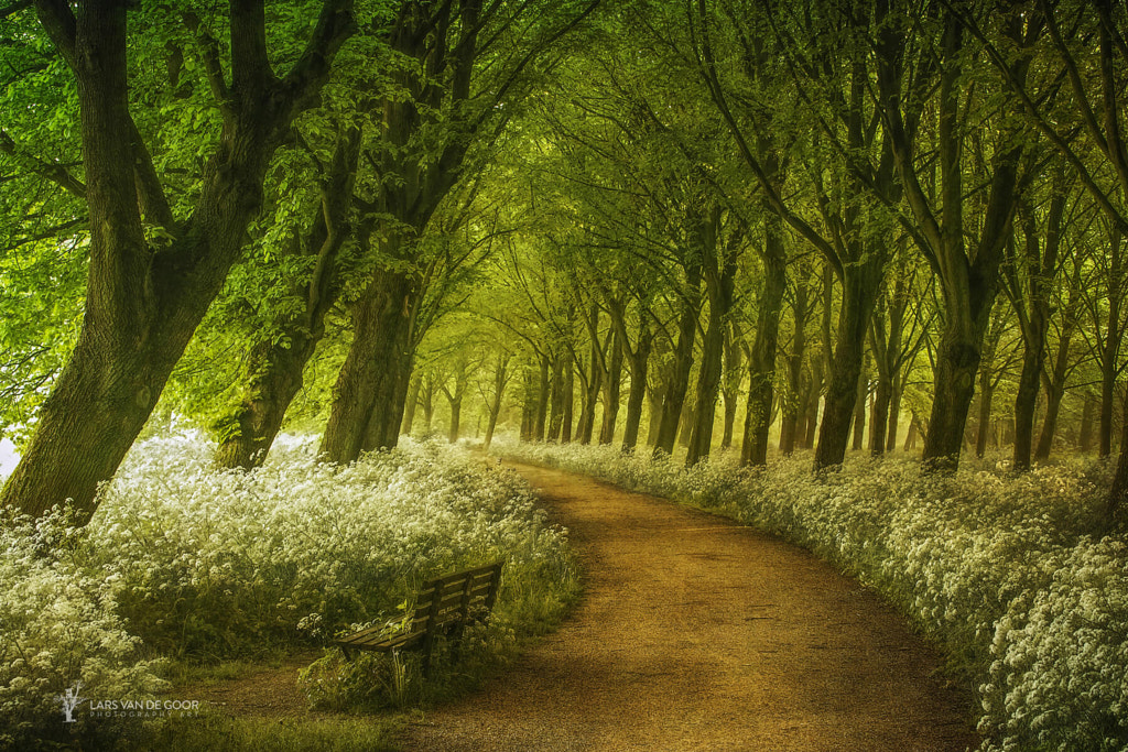 A Seat not Taken by Lars van de Goor on 500px.com