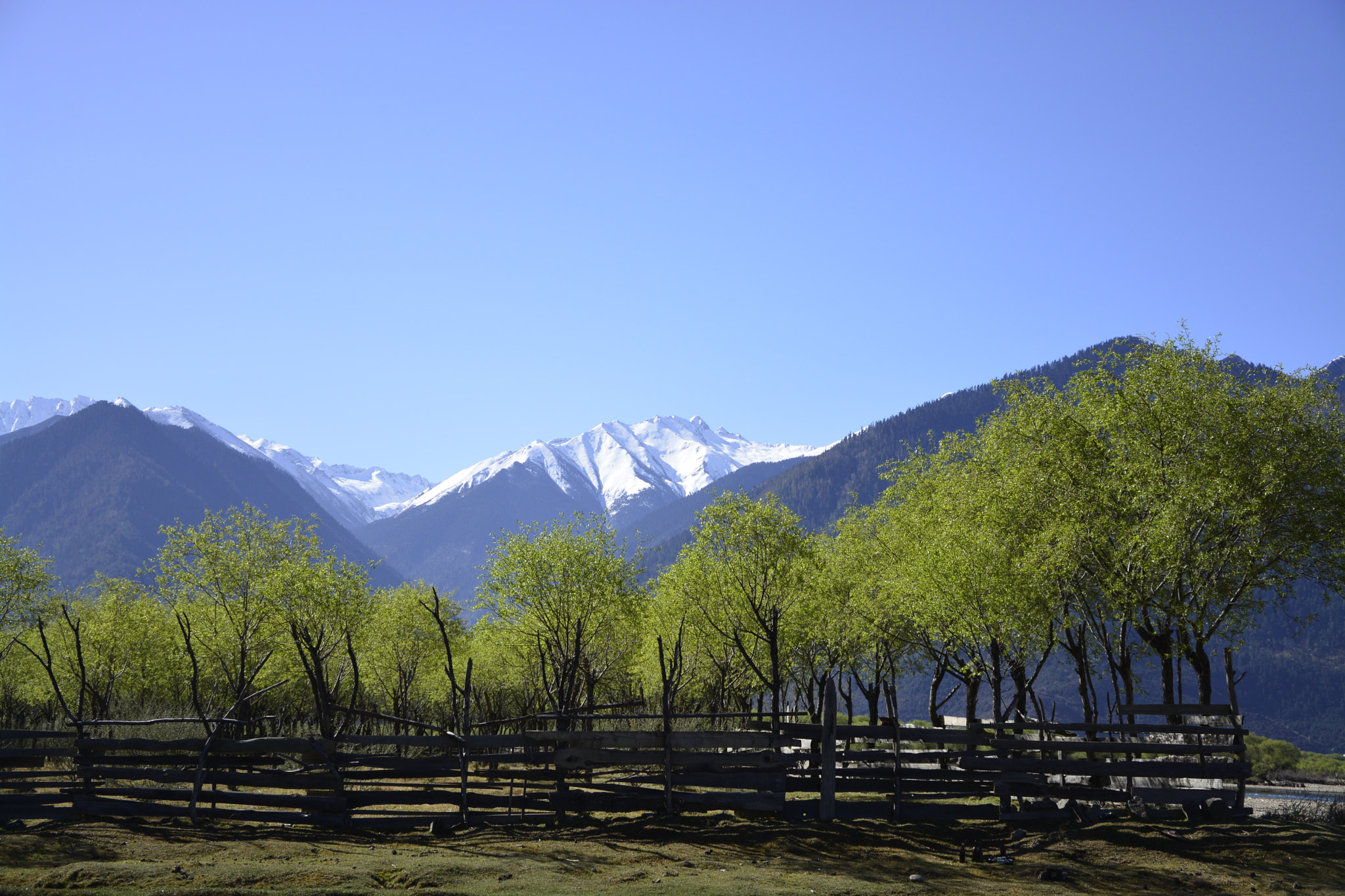 v2?sig=030b02851bc8a1a6e070fdc8e6c2de4dd0501fec7359876d099c975d173c7770