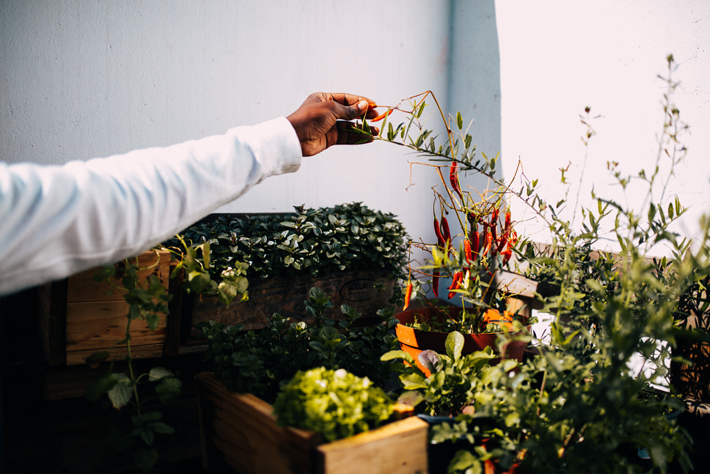 Afro american man doing gardening by Carina König on 500px.com