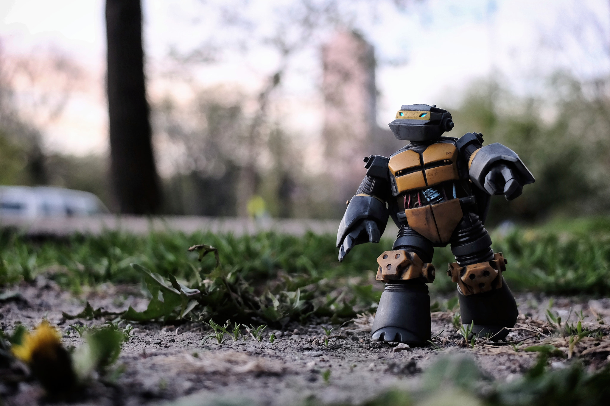 Out for a morning stroll.