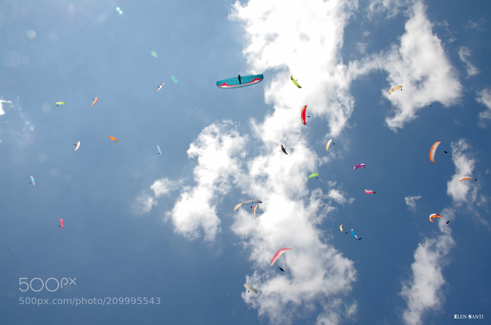 Pentax K-5 sample photo. Fly together photography