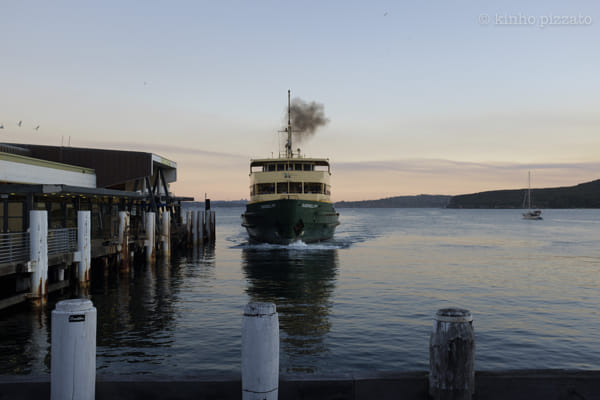 Manly Ferry