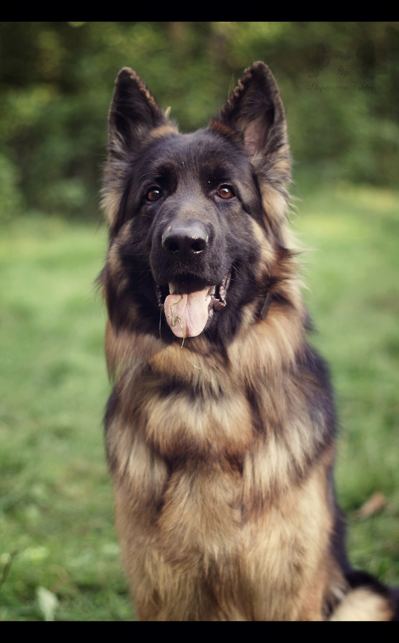 v2?sig=f0ce4c02fb9dede485c3fc6752ea4138c517700652a3854079ddc4ef46f1c9dc