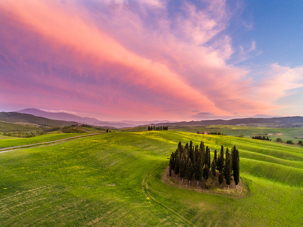 Happy Birthday to me by Luca Micheli ✅ on 500px.com