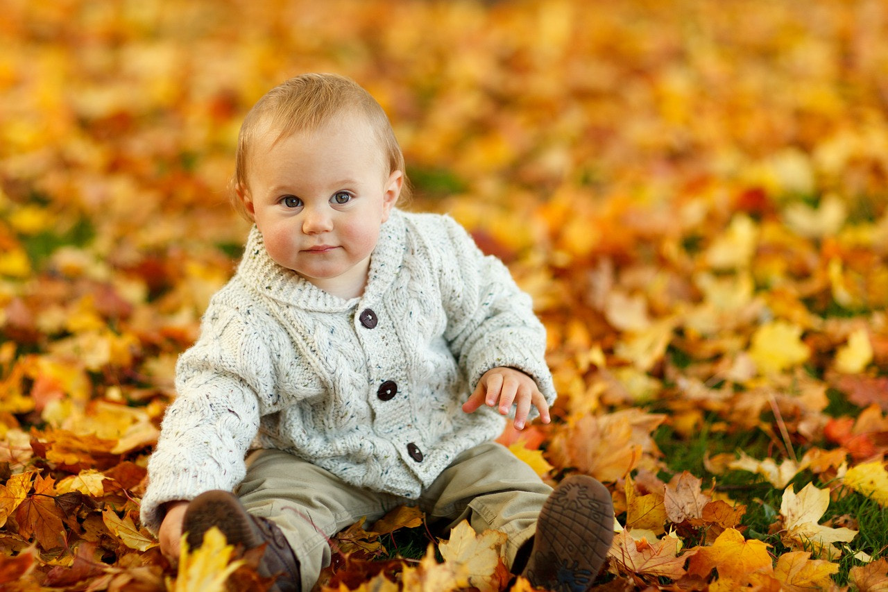 autumn in La Cestita del Bebé