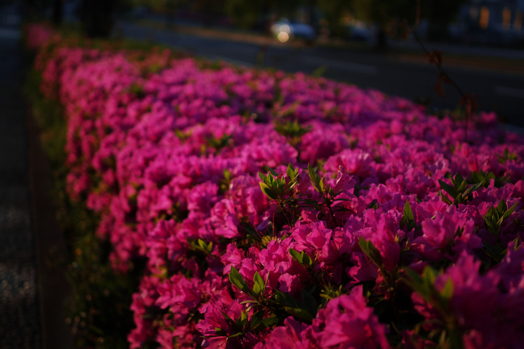 500px.comのfotois youさんによるYokohama NearFiled