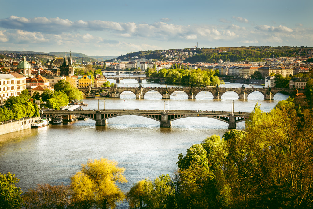 The Bridges of Prague by Petr Canik on 500px.com