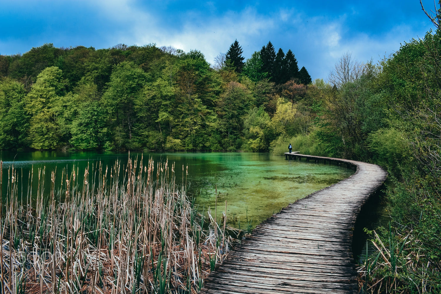 Lonley Path by Flavia Balan / 500px