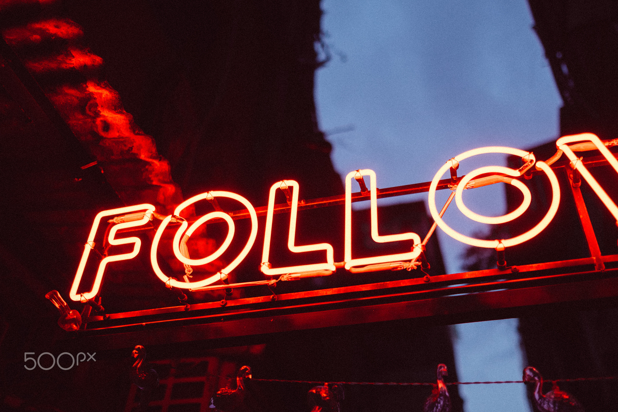 #FollowFriday