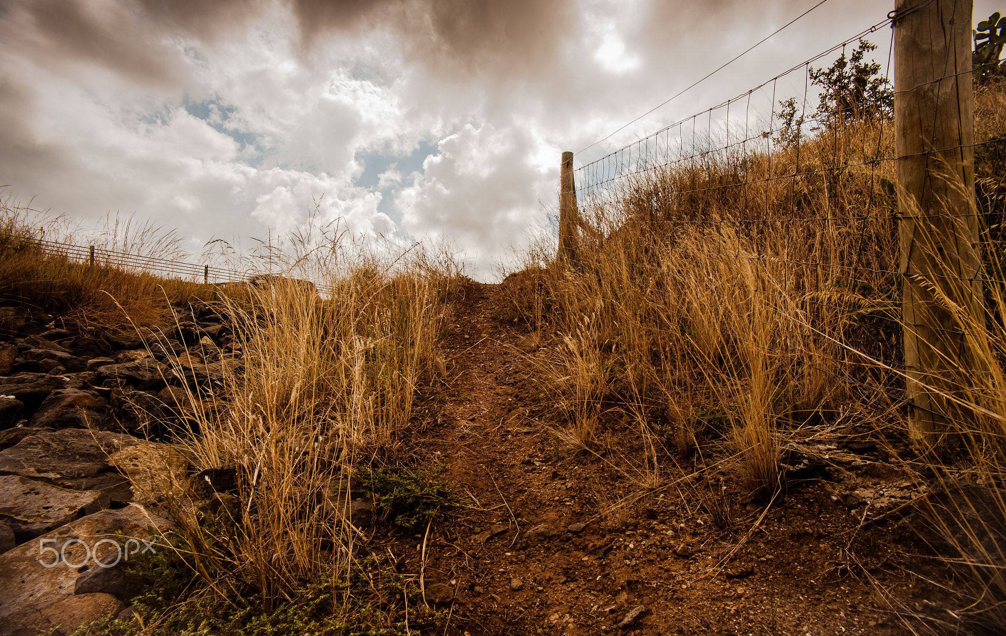 path leading to the village