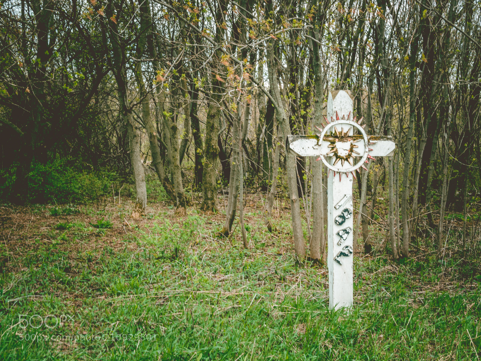 Olympus OM-D E-M5 sample photo. A cross path photography