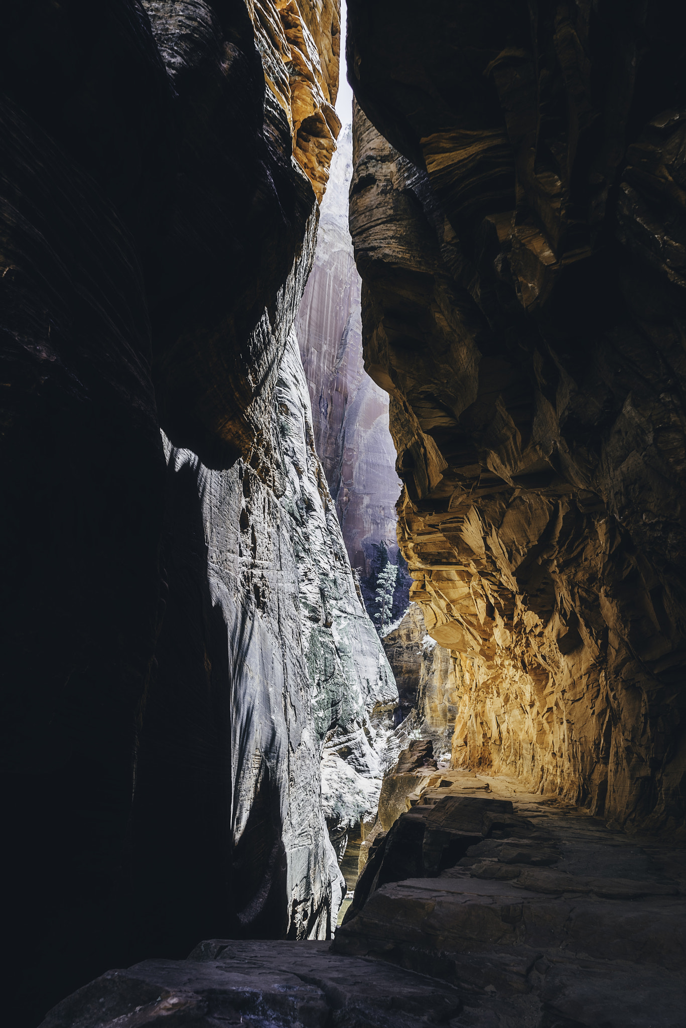 Zion National Park XLVII