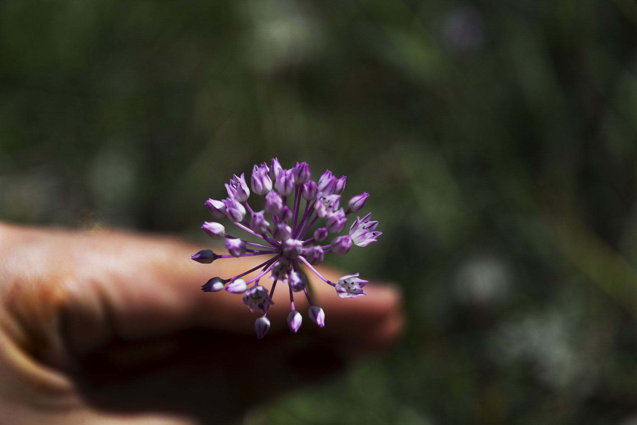 v2?sig=b2851f7d3e3995ad08c8038a46f519d48e8b71bc4aa74b065a7029227bd3619b