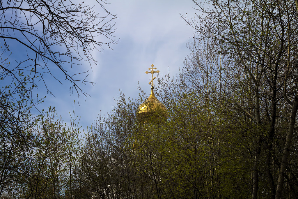 temple of the trees, автор — Nick Patrin на 500px.com