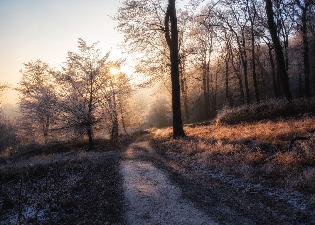 Winter Light by Christina Obermaier on 500px.com