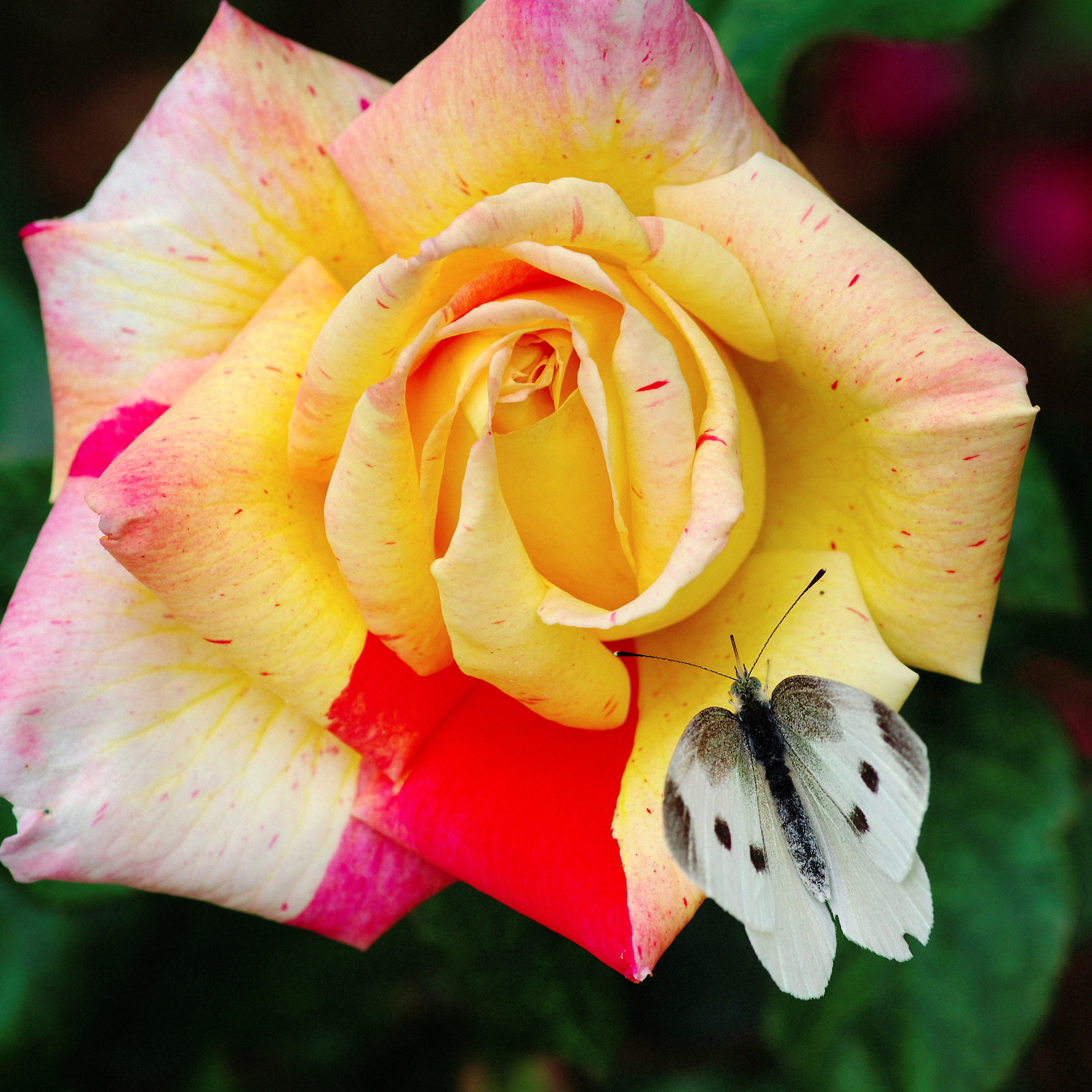 v2?sig=b120ab99a30f5bc23ae45e11cecec052db475b96be220e50e8bb6eece84a211c