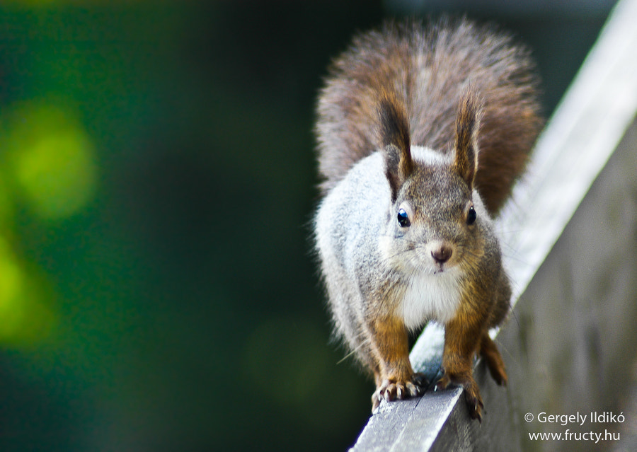 Hungry day by fructy on 500px.com