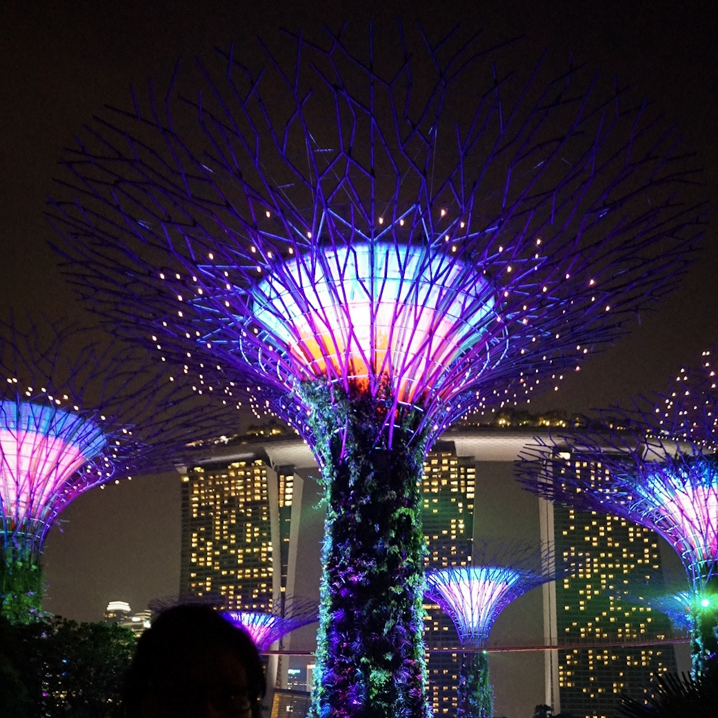 Supertree