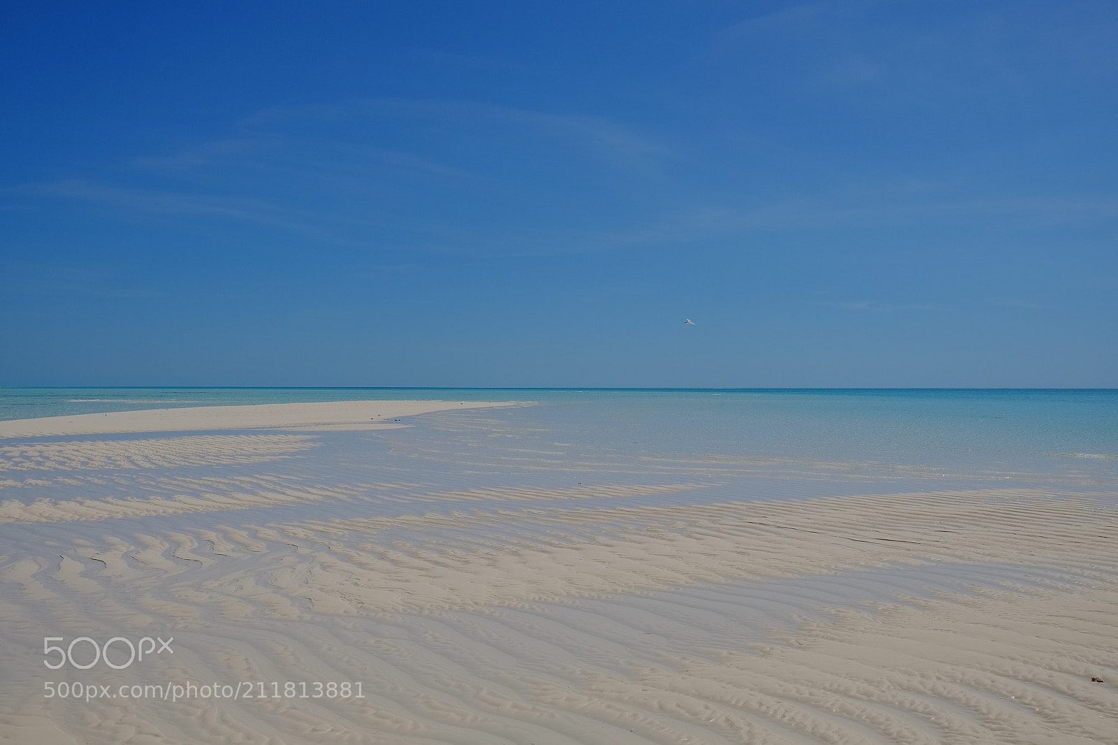 Fujifilm X-T1 sample photo. Exuma, banc de sable photography