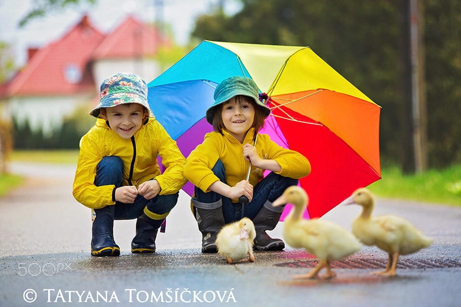 Beautiful children, playing with little ducklings in the rain