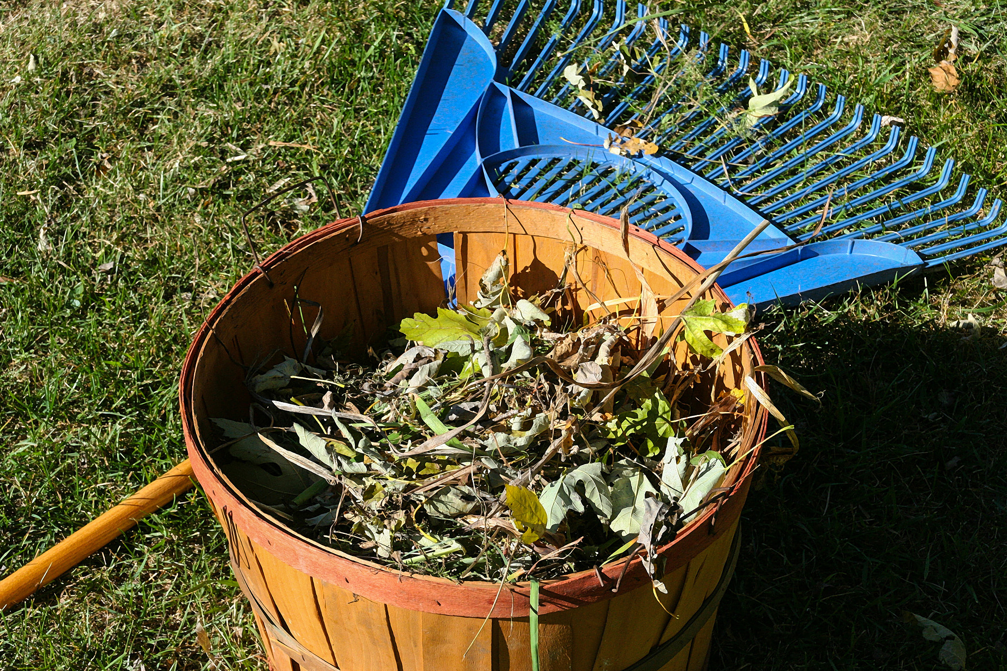 fall leaf removal tools and their results