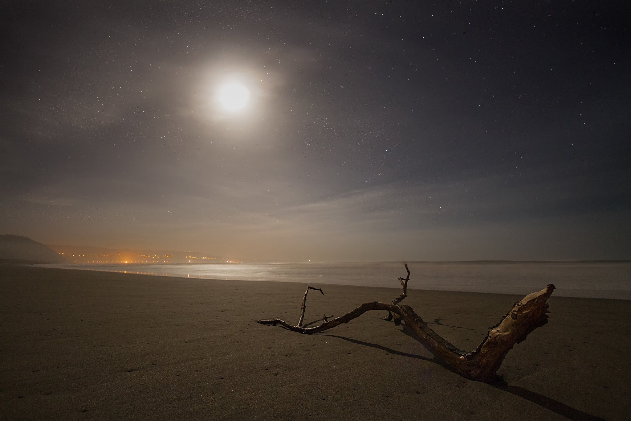 noche de lobos