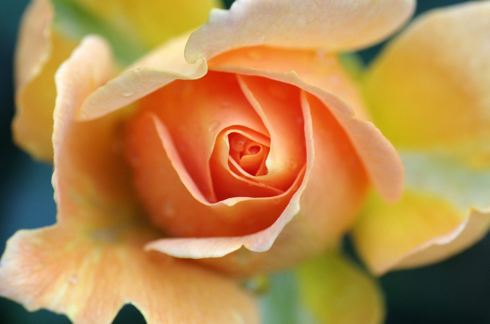 v2?sig=a916948d96d84bde4910bab51d42bd36b8e0fabbcf0a2b5699706b6eaf692949