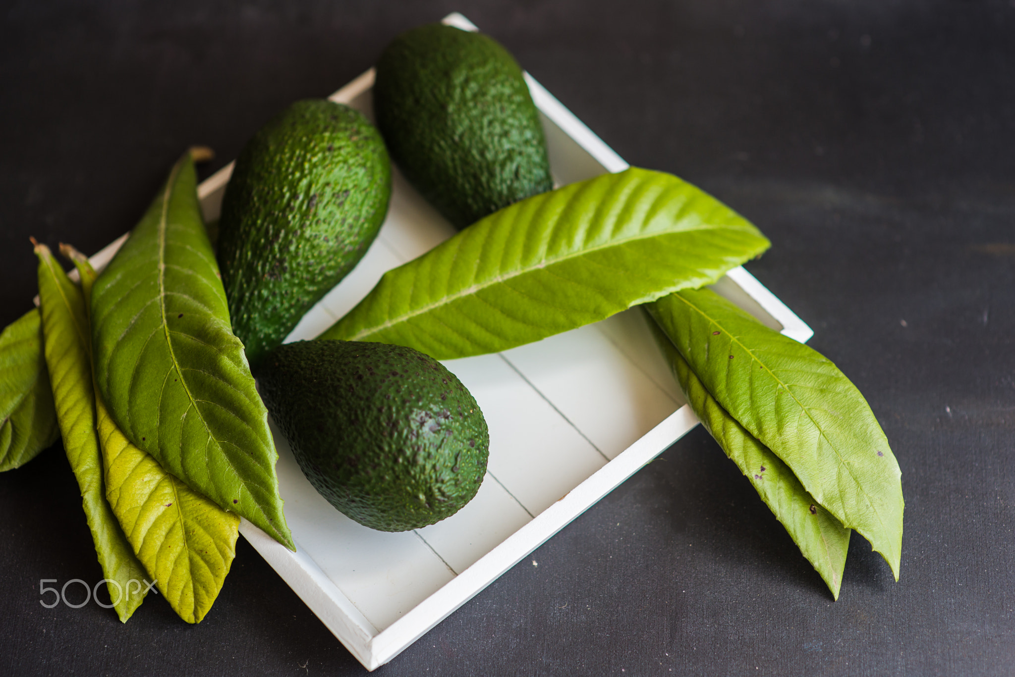 Avocado fruits on dark table