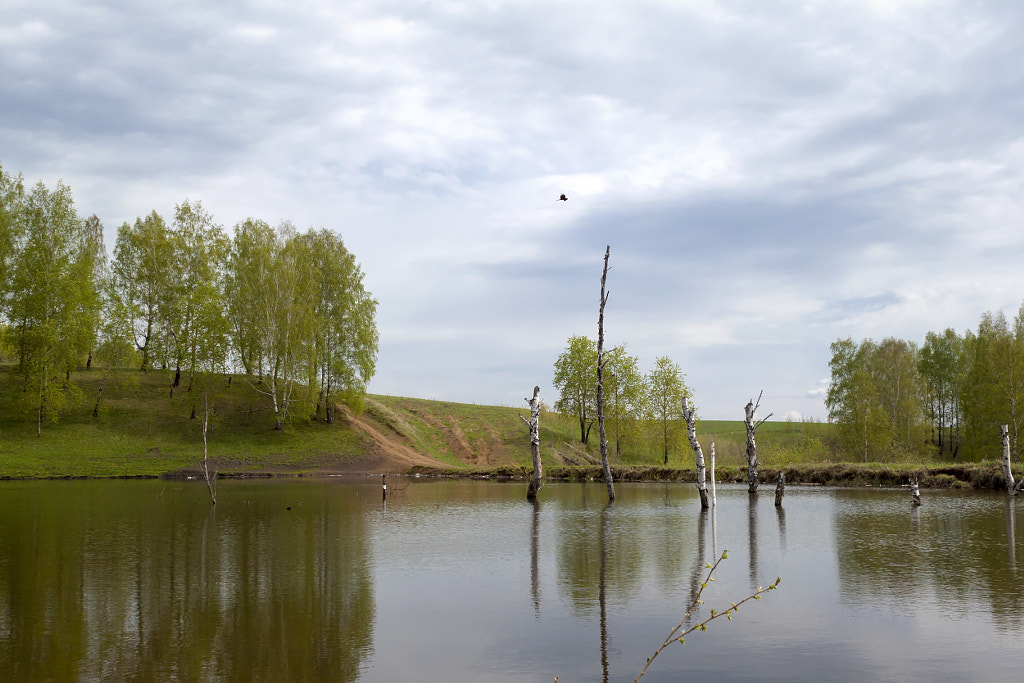 unnamed pond by Nick Patrin on 500px.com