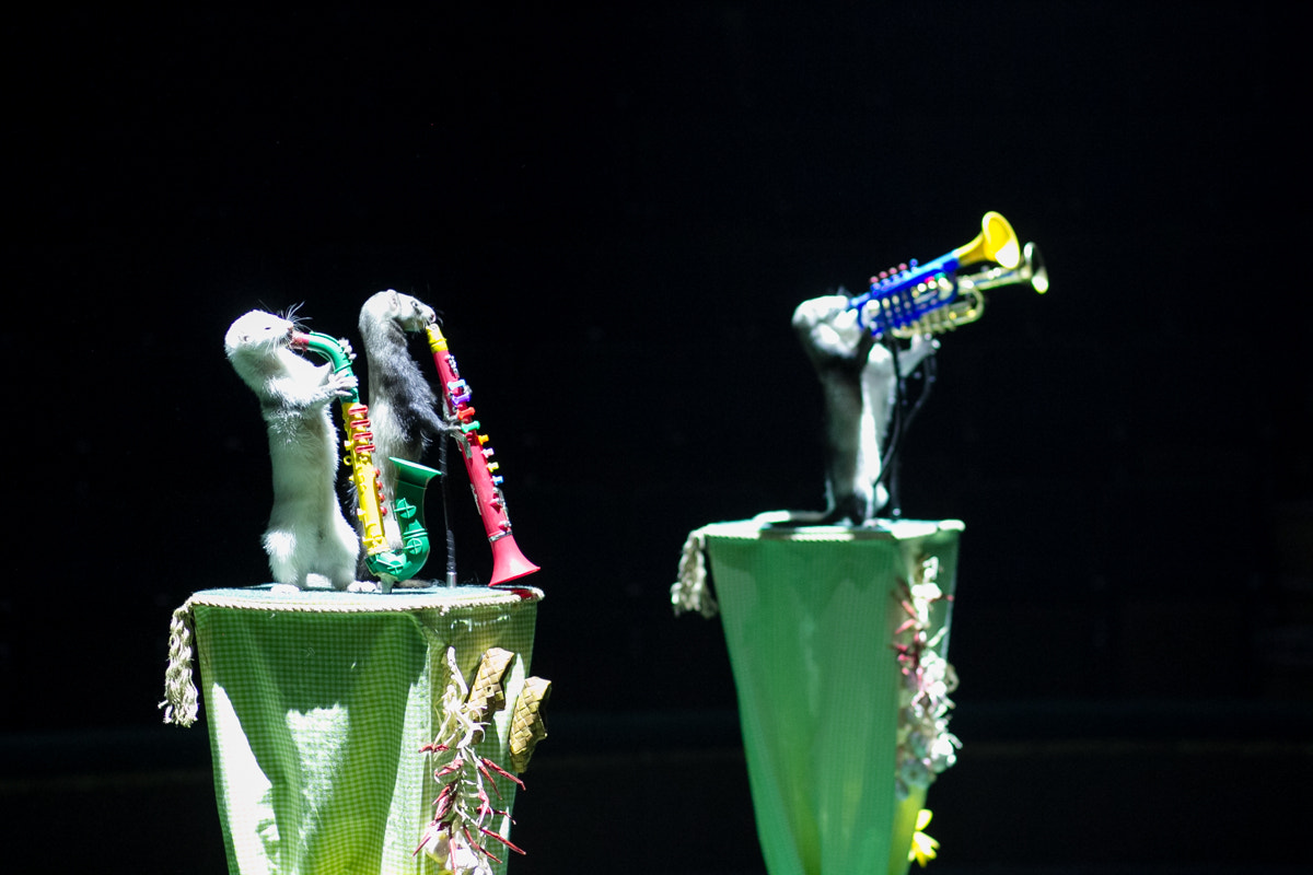 v2?sig=ad5f2e3cd096ca960e877266386b23c0cb3c05f31a7d97ece11fb496c9d111ed