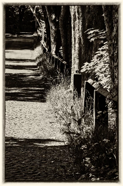 alte strasse von dirk derbaum auf 500px.com