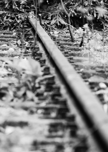 gleis von dirk derbaum auf 500px.com