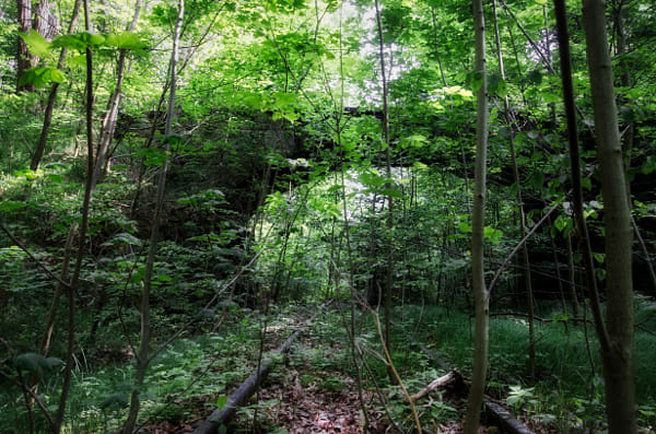 brücke von dirk derbaum auf 500px.com