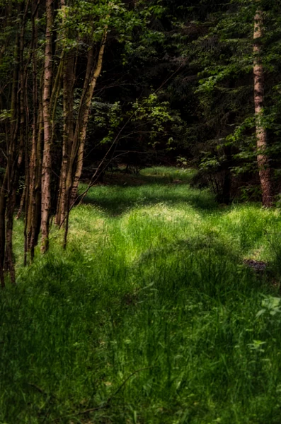 kapellenweg von dirk derbaum auf 500px.com