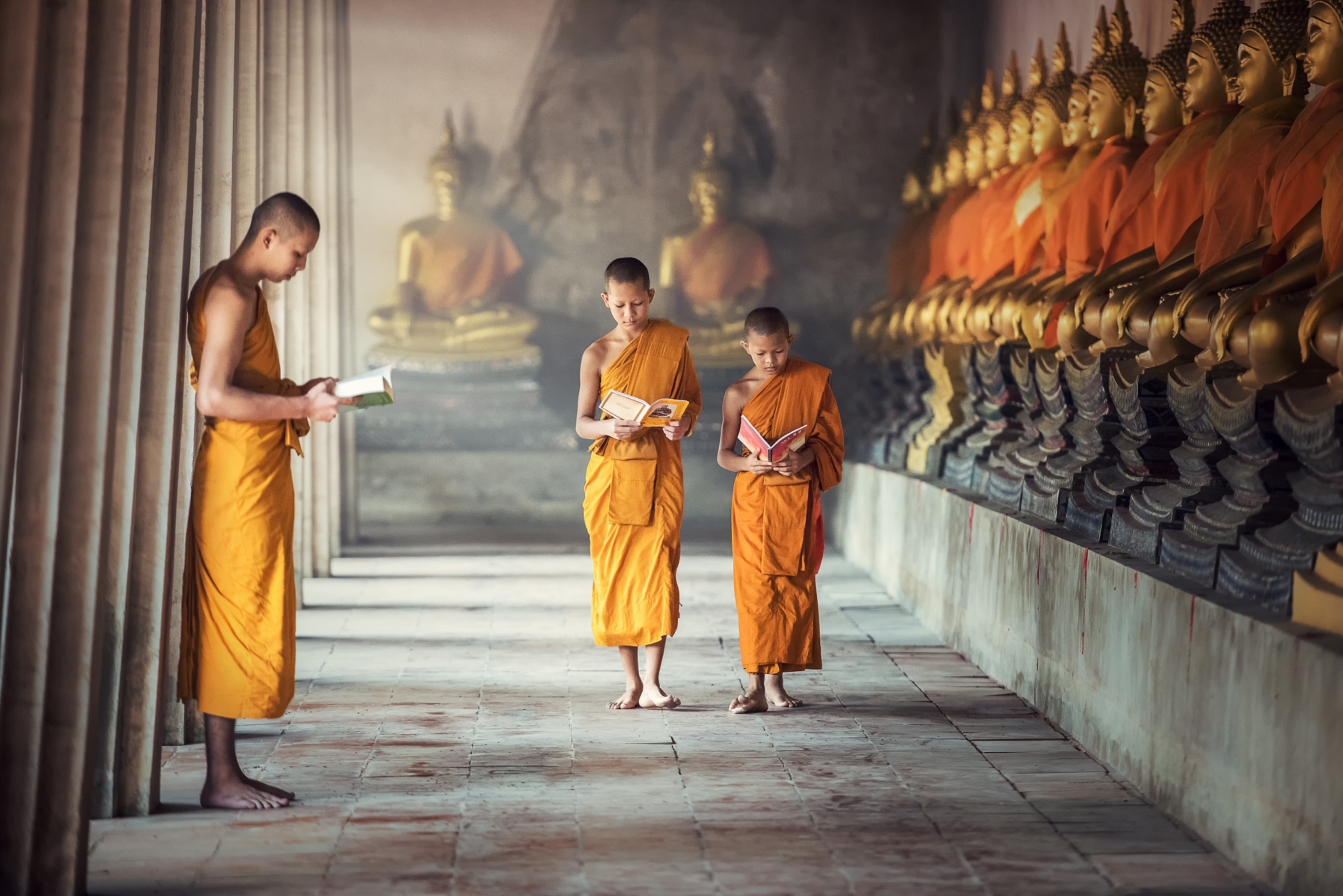 Novice monks reading book inside monastery