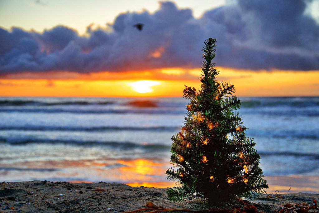 Christmas at the Beach cover image