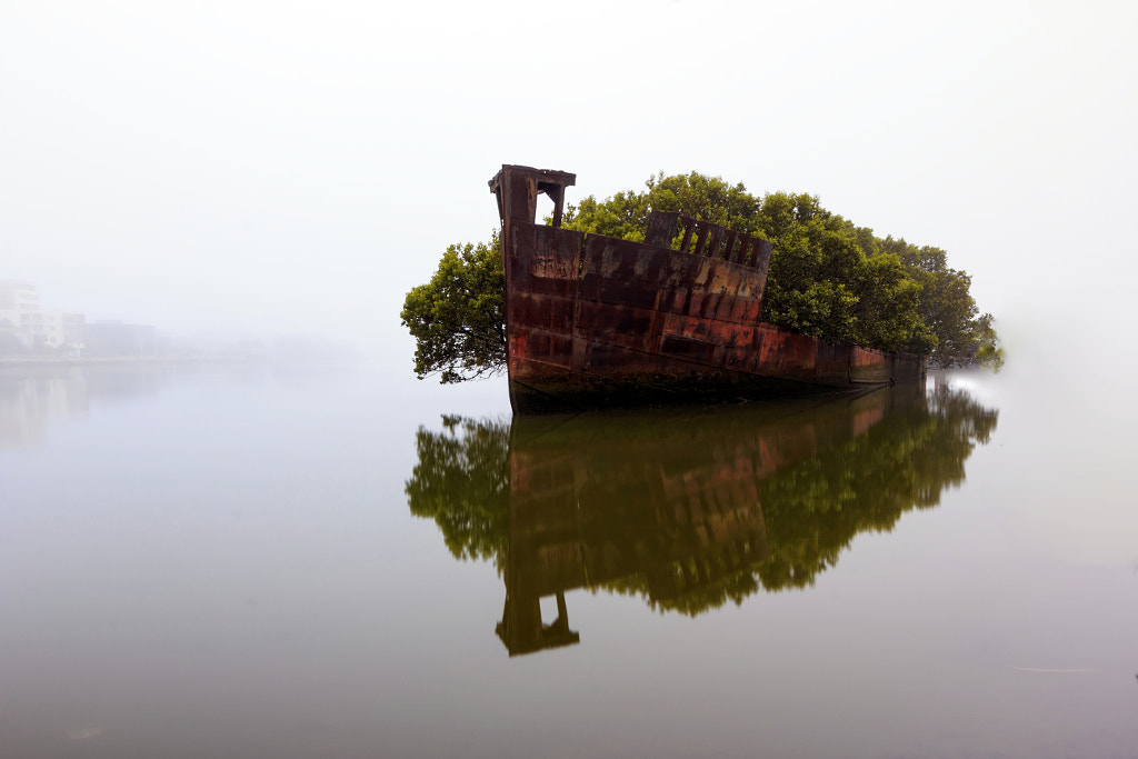 Floating Forest by Arfan Habib on 500px.com