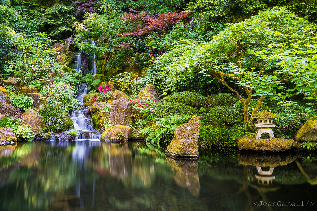 Waterfall at Japanese Garden