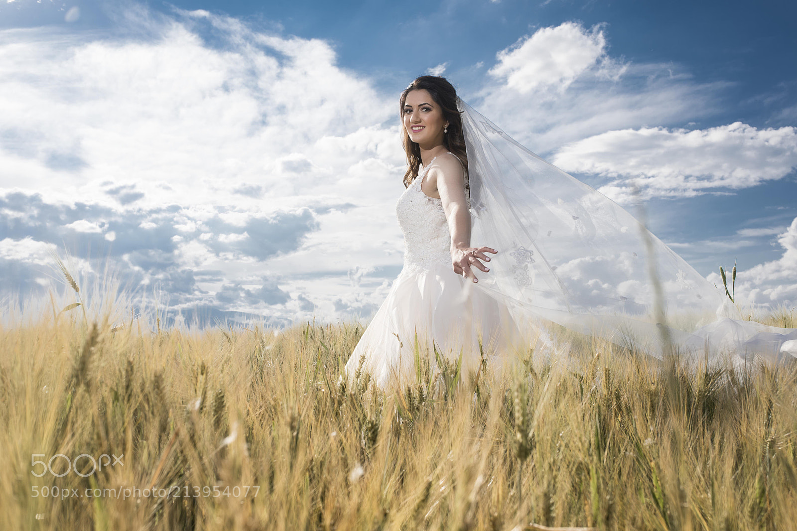 Nikon D5 sample photo. Wedding photography