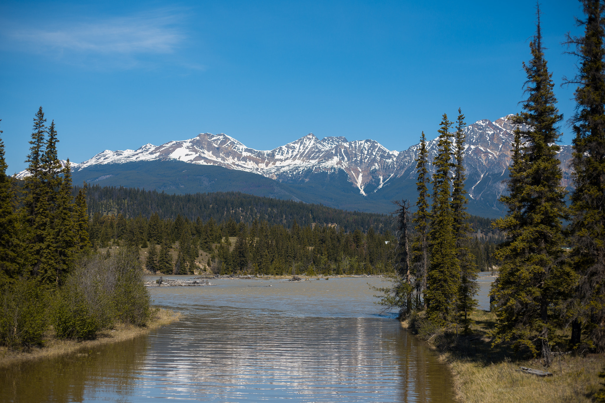 Magpie Meghan Photography
