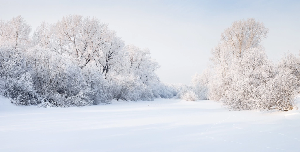 ...Frosty painting... by Александр Лещёнок on 500px.com