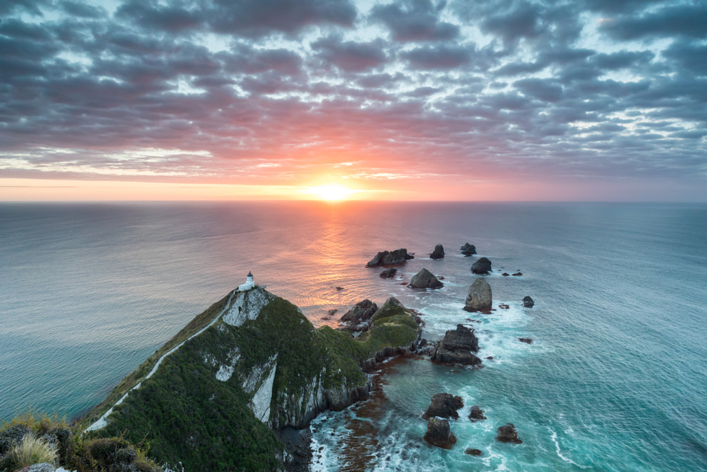 Nugget Point Sunrise by Kaitlyn McLachlan on 500px.com