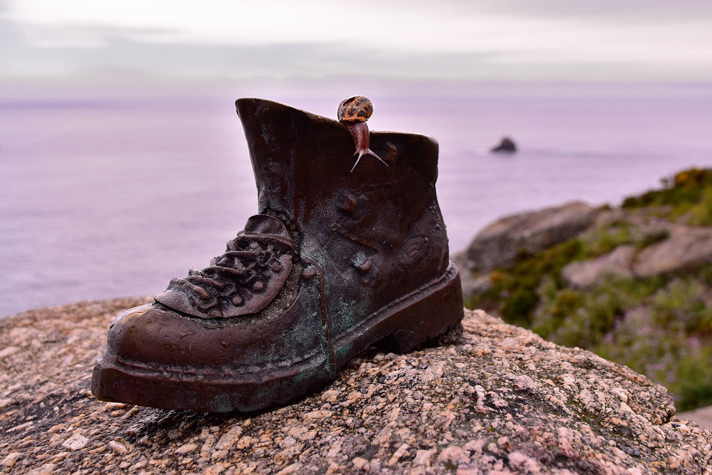 Llegó by Santiago Polo Paricio on 500px.com