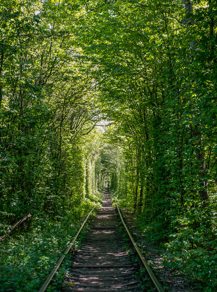 The Tunnel Of Love by Andrey Maystrenko on 500px.com