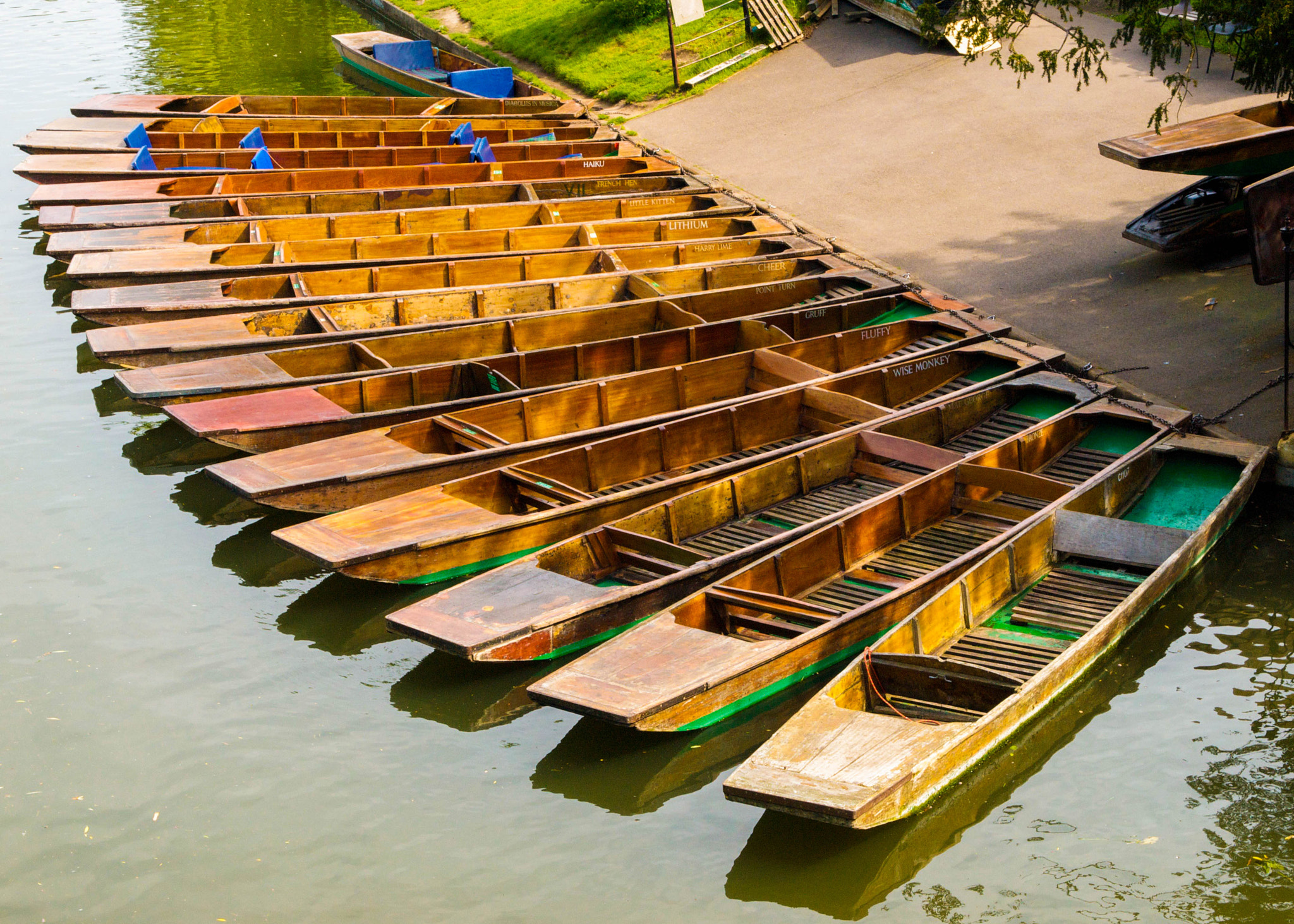 Wise Monkey, Fluffy, Gruff: Waiting Punts