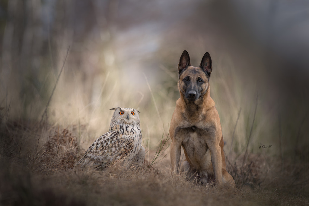 Feelings by Tanja Brandt on 500px.com