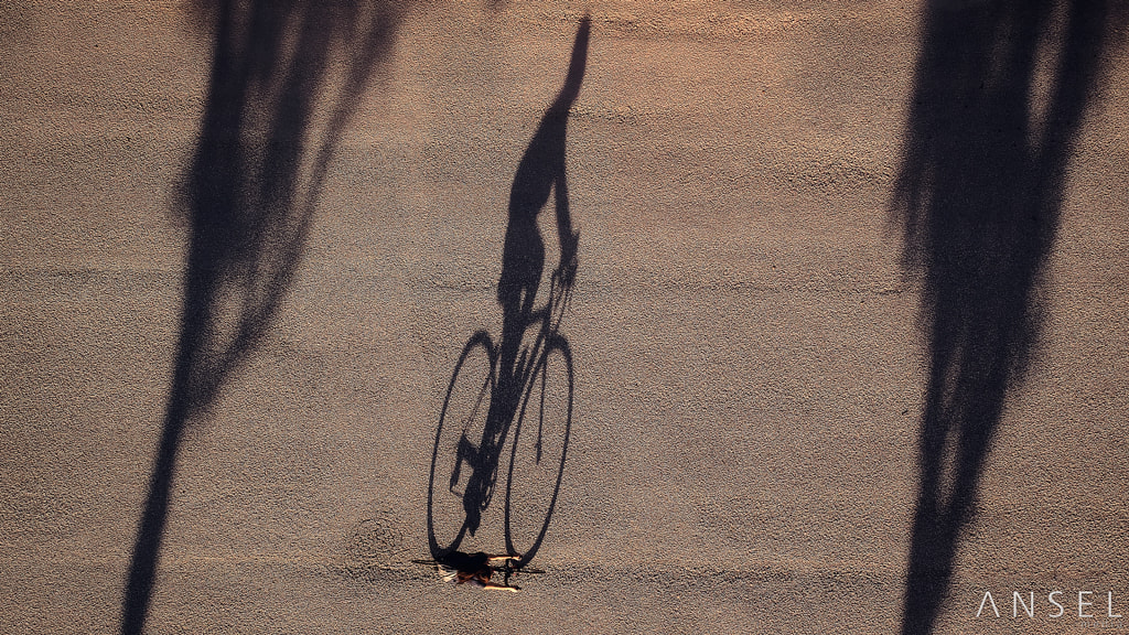 The Cyclist by Jonathan Danker on 500px.com